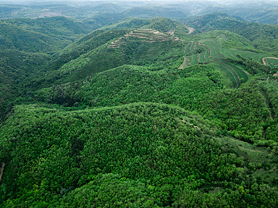 森林防火監(jiān)測(cè)目前的技術(shù)手段詳情及未來(lái)趨勢(shì)